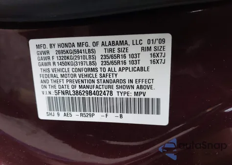 2009 Honda Odyssey Ex-L z USA, uszkodzony, nr VIN 5FNRL38629B402478
